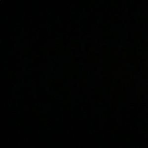 Meet your Posher, Hanin